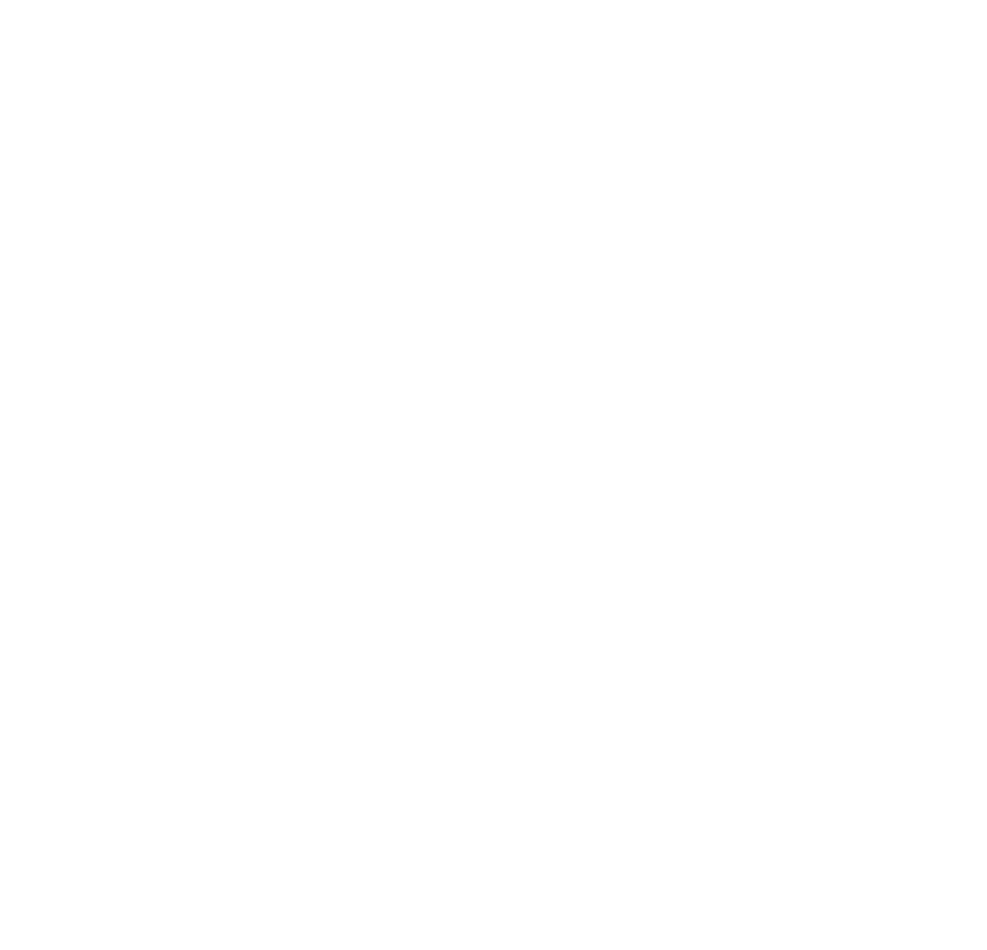 eHint Logo